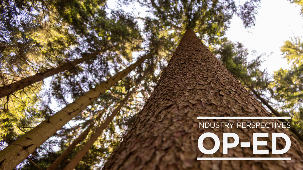 Urgent Call for Action to Address British Columbia's Forestry Crisis