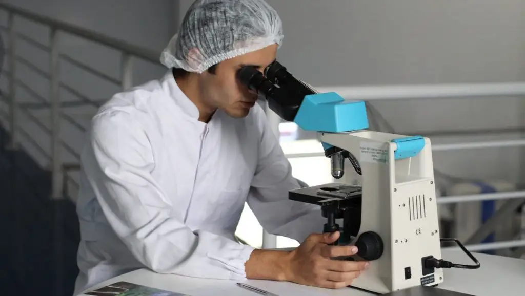 Federal Government Advances $267 Million Research Laboratory in Winnipeg to Combat Future Disease Outbreaks