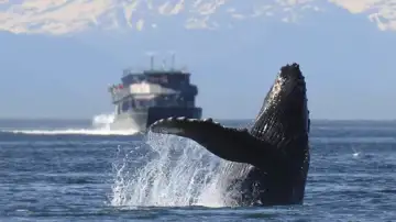 New Coalition Urges BC Ferries to Build Future Ferries Locally