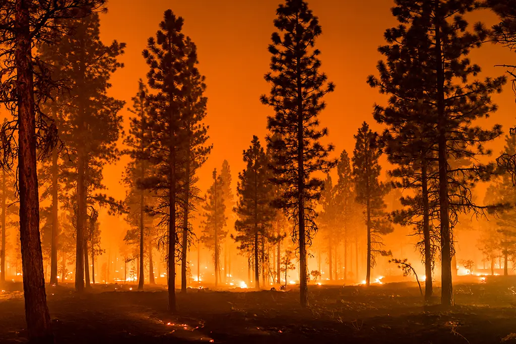 WorkSafeBC Urges Employers to Enhance Wildfire Evacuation Plans Amid Ongoing Fires