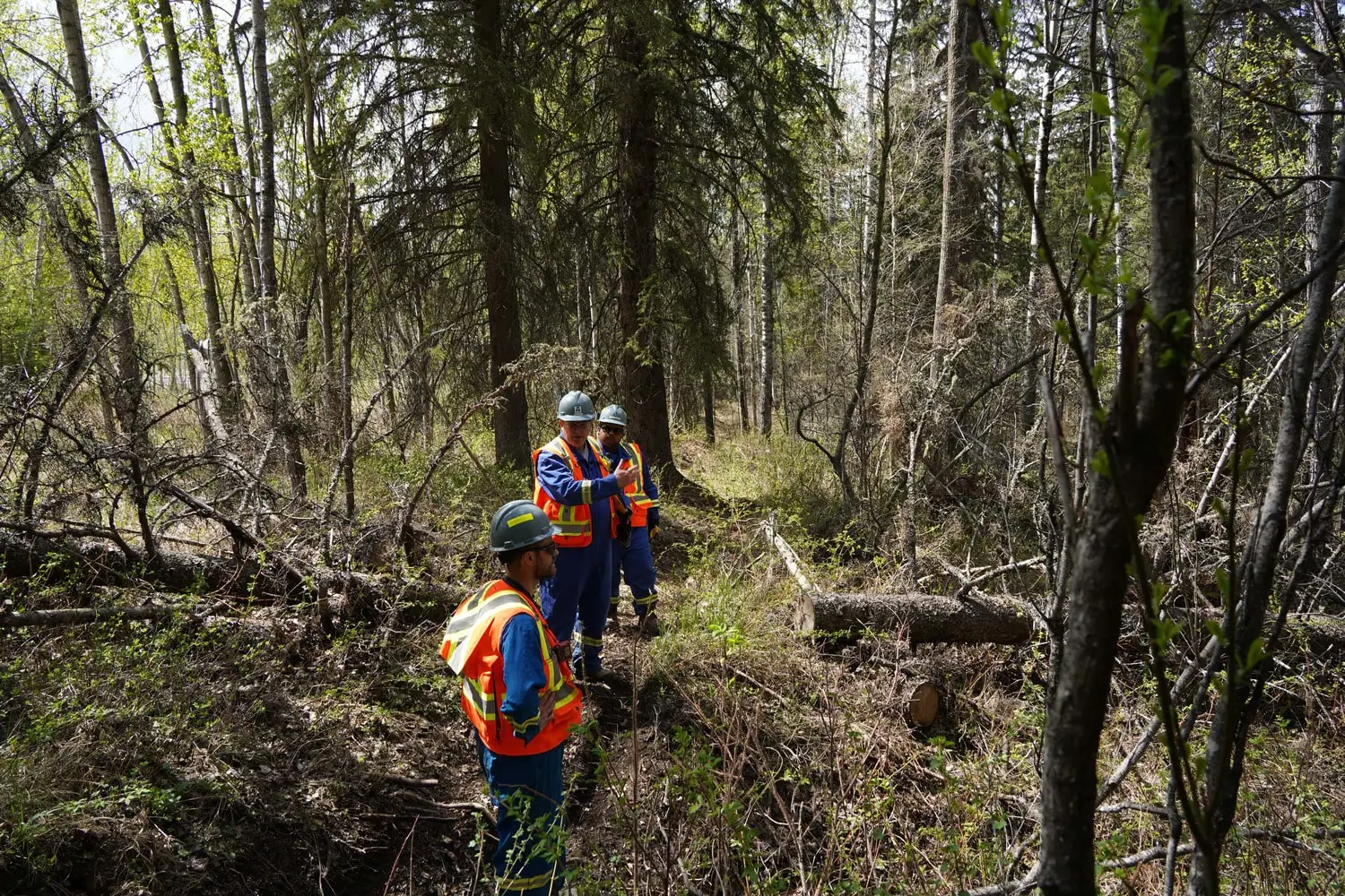Thurber Engineering: Managing Geohazards in Canada's Challenging Terrain