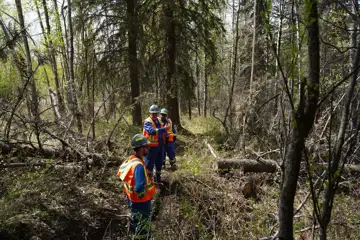Thurber Engineering: Managing Geohazards in Canada's Challenging Terrain