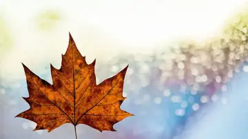 Ontario Allocates $10 Million for Skilled Trades Training Amid Controversy