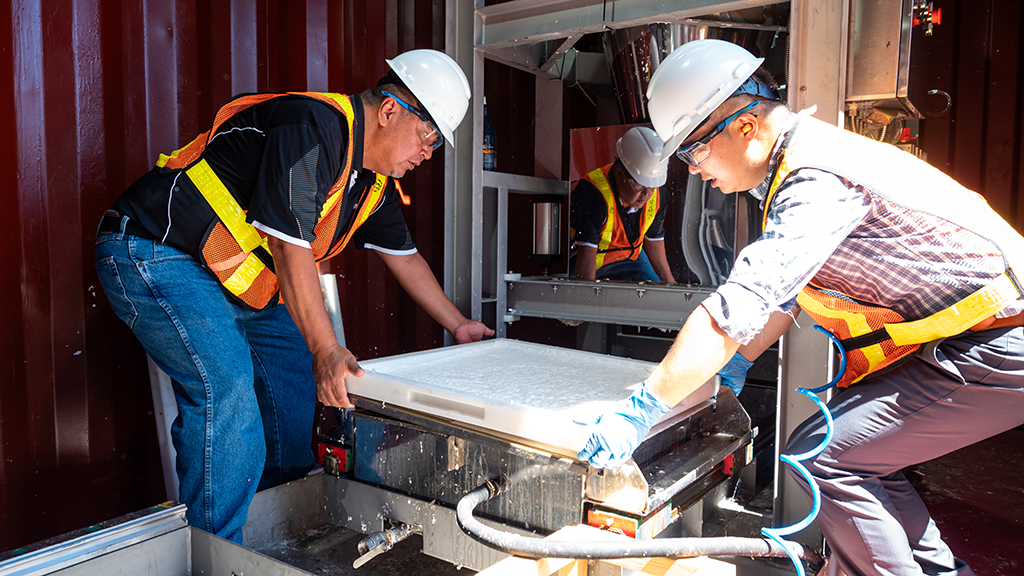 Innovative Collaboration Turns Forestry Waste into Eco-Friendly Packaging