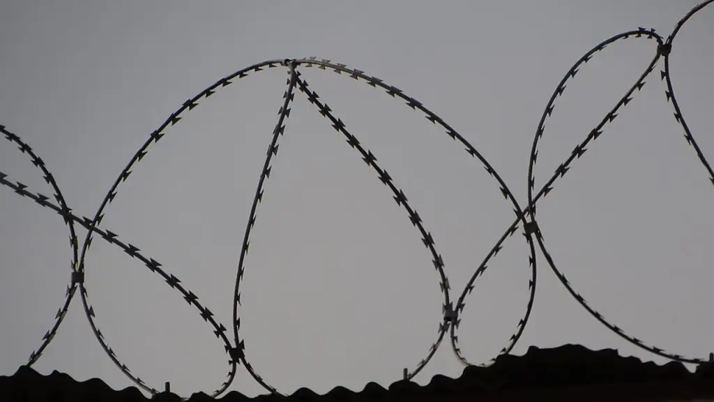 Ontario Plans Major Expansion of Jail Capacity Amid Overcrowding Issues