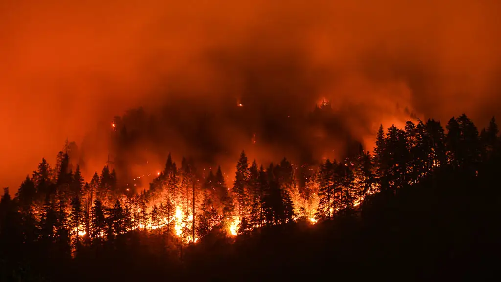 Clinton, B.C. Mayor Reports Wildfire Damage Assessment Underway